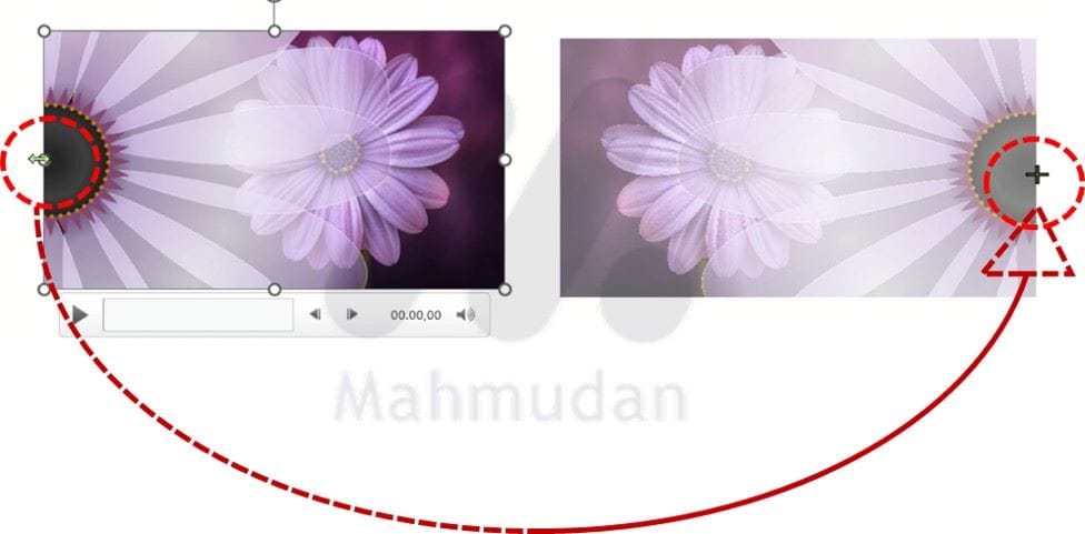 cara cepat membalik gambar /video di powerpoint